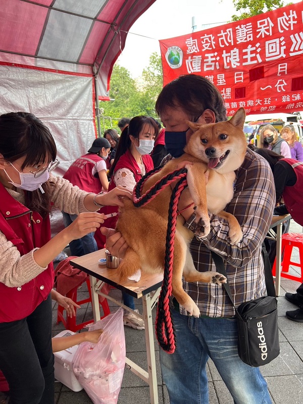 1 狂犬病疫苗及晶片施打