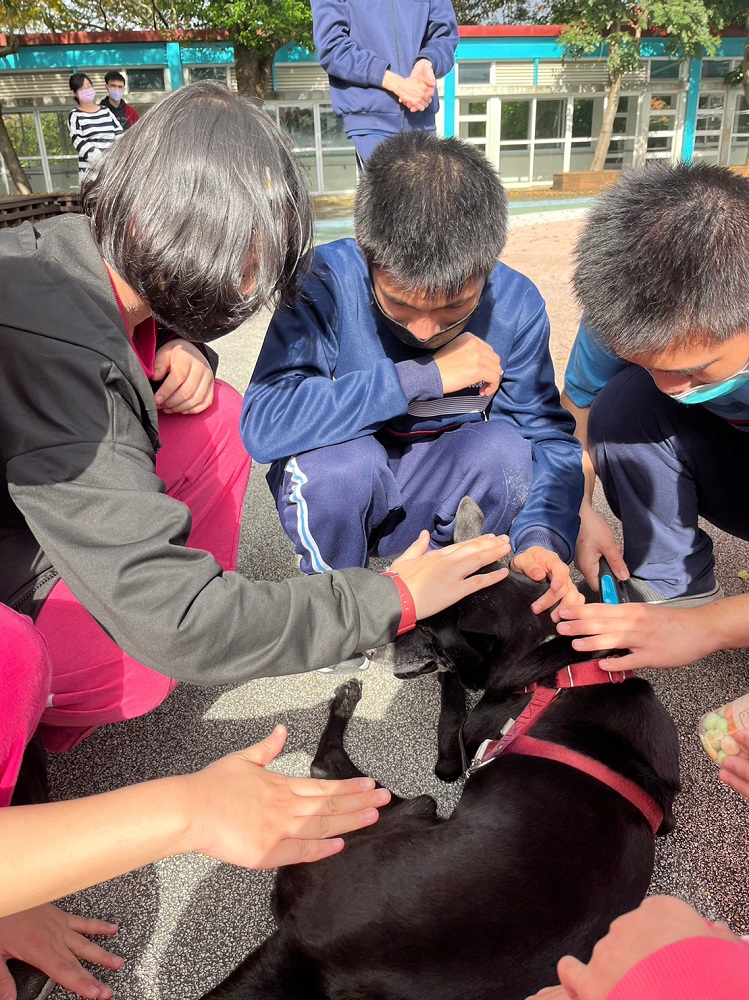 1.校方安排動物關懷計畫課程
