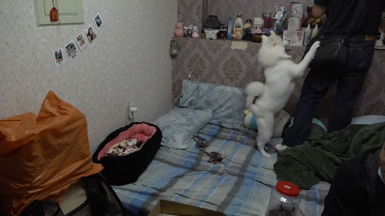 11091046 1.mp4 20221109 134820.773