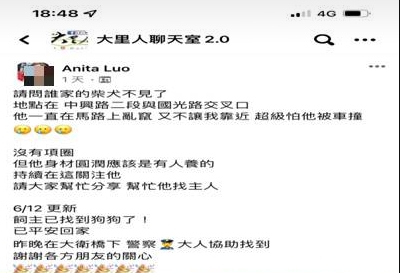 ▲大里人聊天室發現談論小狗遺失的訊息。 (圖/照生新聞 謝福祐翻攝)