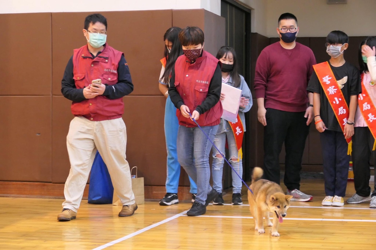 1新北市五股國小在111年認養了「旺柴」、「柴哥」為校園犬