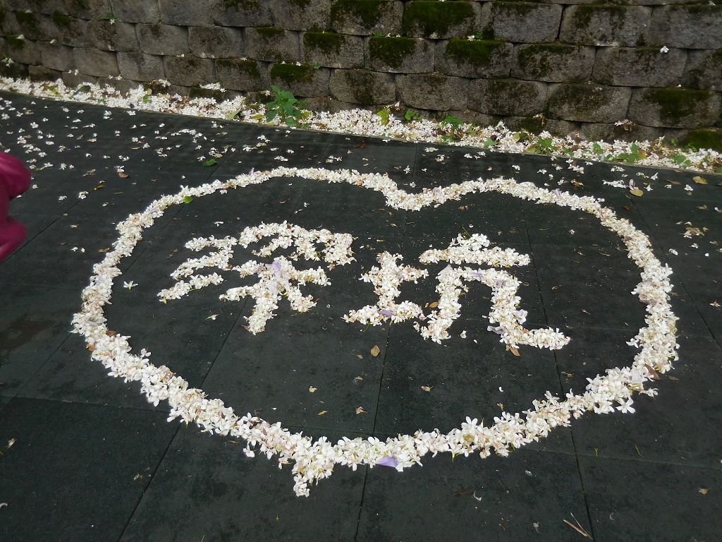 2 一桐去深坑郊遊品豆腐