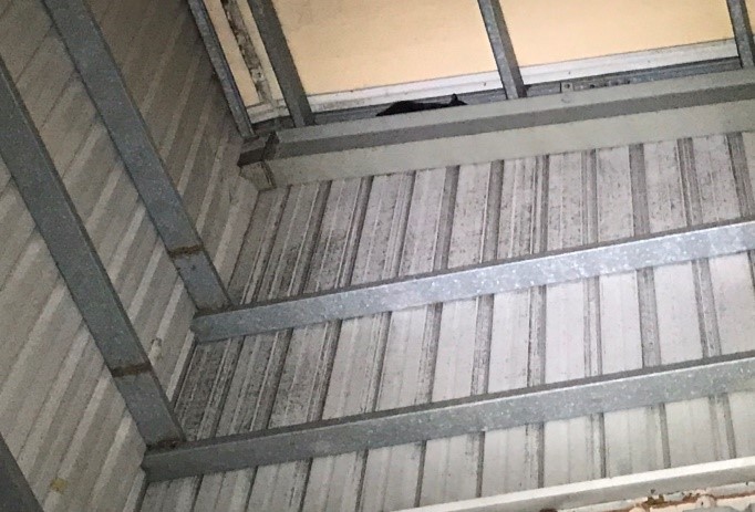 2貓咪受困於工廠四層樓高的鋼筋縫中