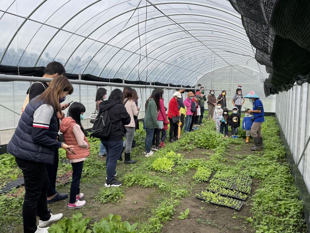 3 參加的小小孩已有小小農夫的模樣，認真學習如何田間採收