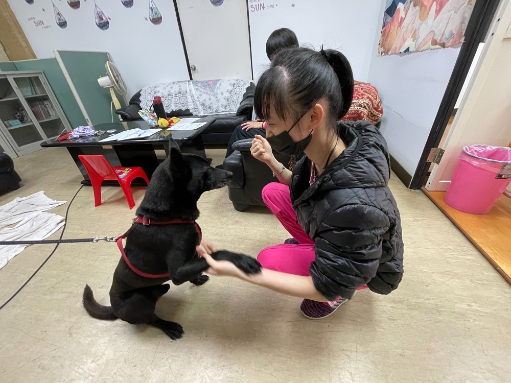 3.貝果與學生互動