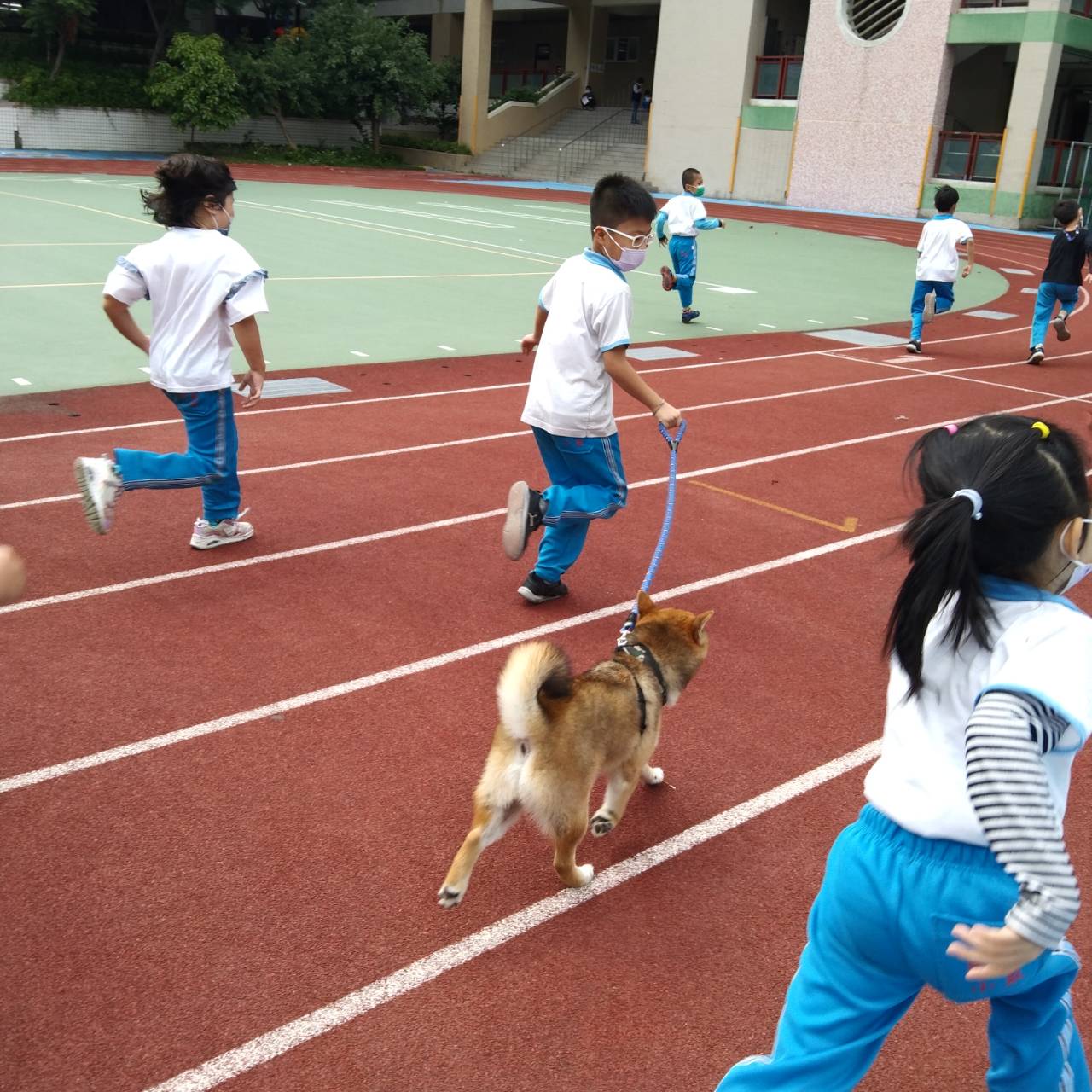 3柴哥在校園內陪同學生一起跑步、一起學習