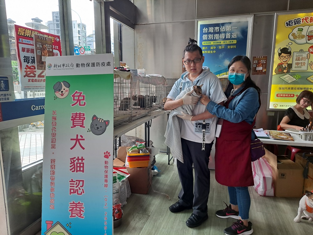3親人可愛犬貓免費送養，歡迎民眾前來認養