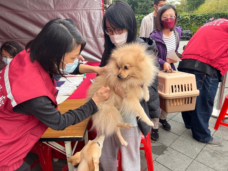 4 新北市動保處巡迴注射狂犬病疫苗