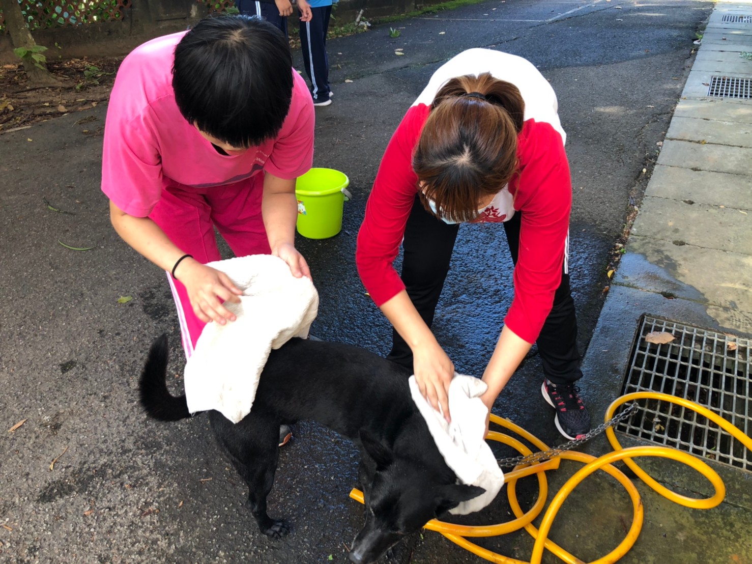 4.師生一起幫貝果洗澡