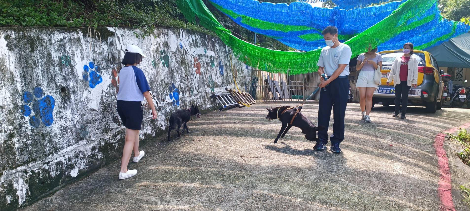 5.到動物之家健康檢查及散步
