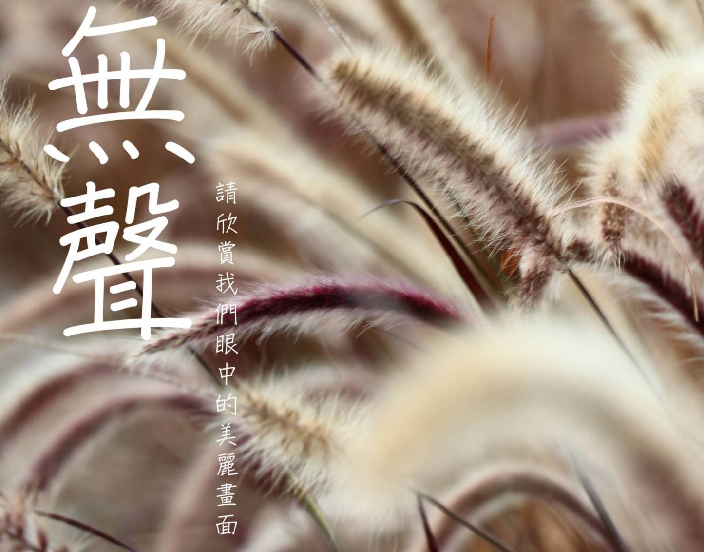 ▲社團法人台中市聲暉協進會攝影班成立目的是期望聽障者透過攝影這門視覺藝術，單純且直接地表達內心感受，再藉由辦理攝影展，使聽障者能夠表達自己，此為其中一幅作品。（圖/記者澄石翻攝）