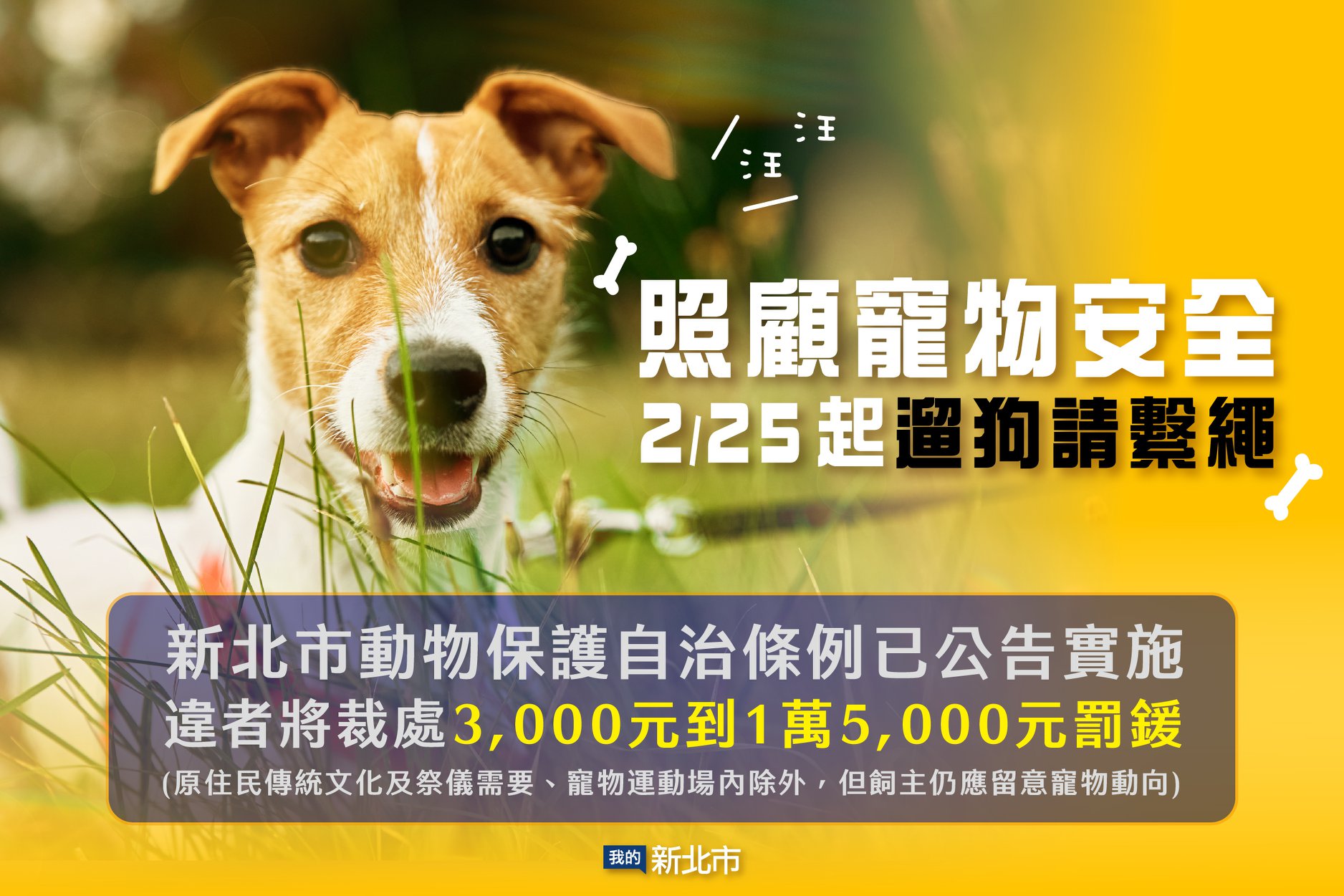 5+新北市政府的自治條例宣導圖