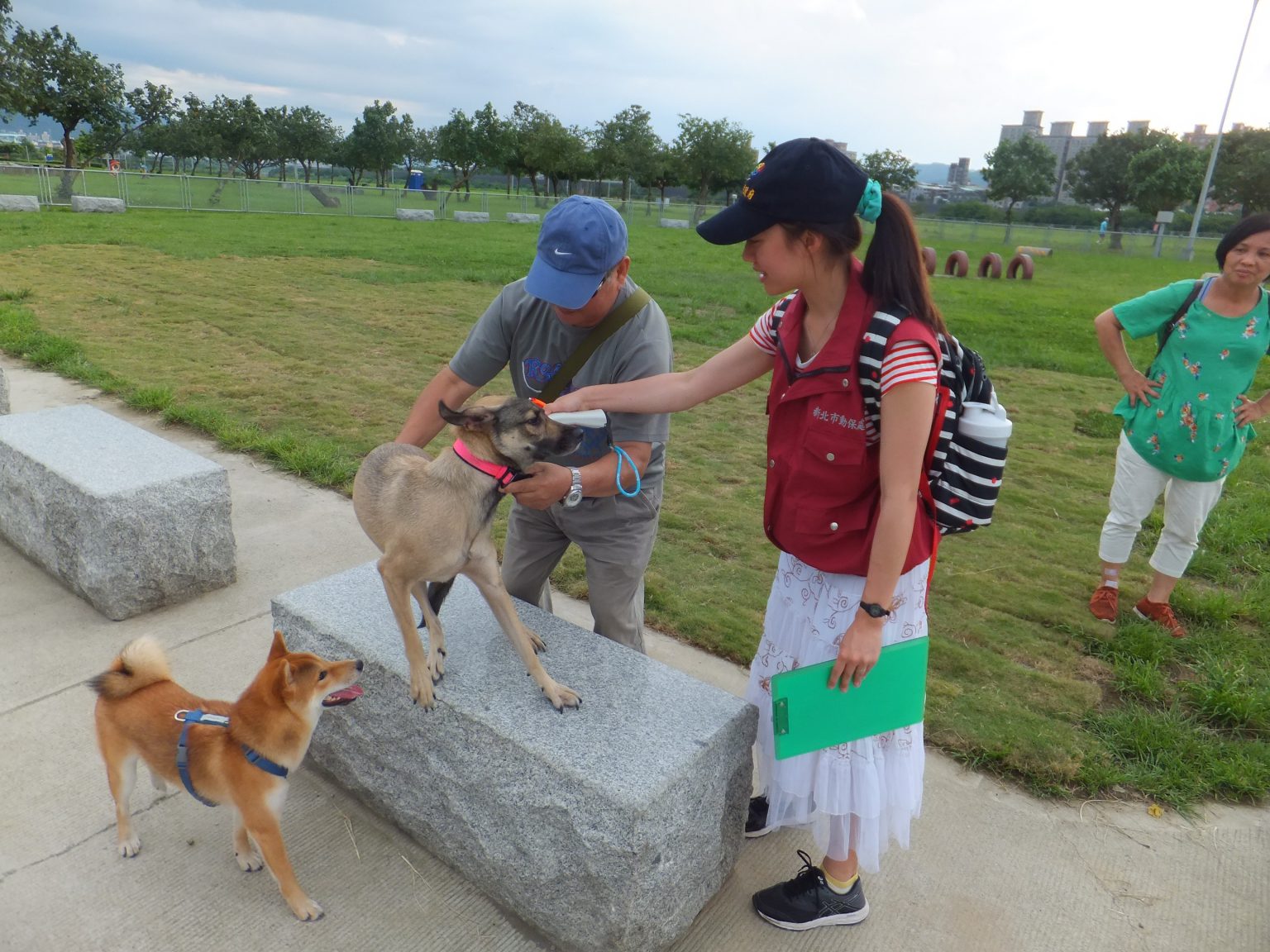 6 犬貓絕育可減少罹患生殖系統疾病機率