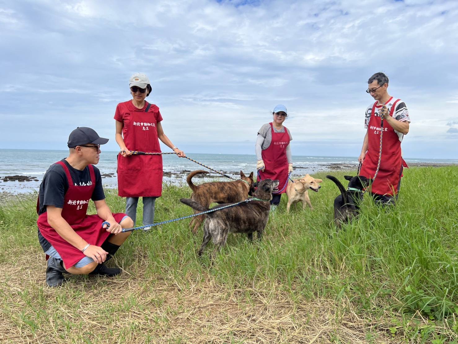 6淡水志工帶犬舍狗狗，外出遛狗有助於社會化
