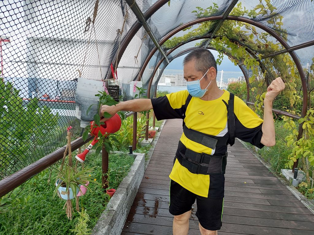 q寶農場樂齡園丁，綠色療癒玩植栽