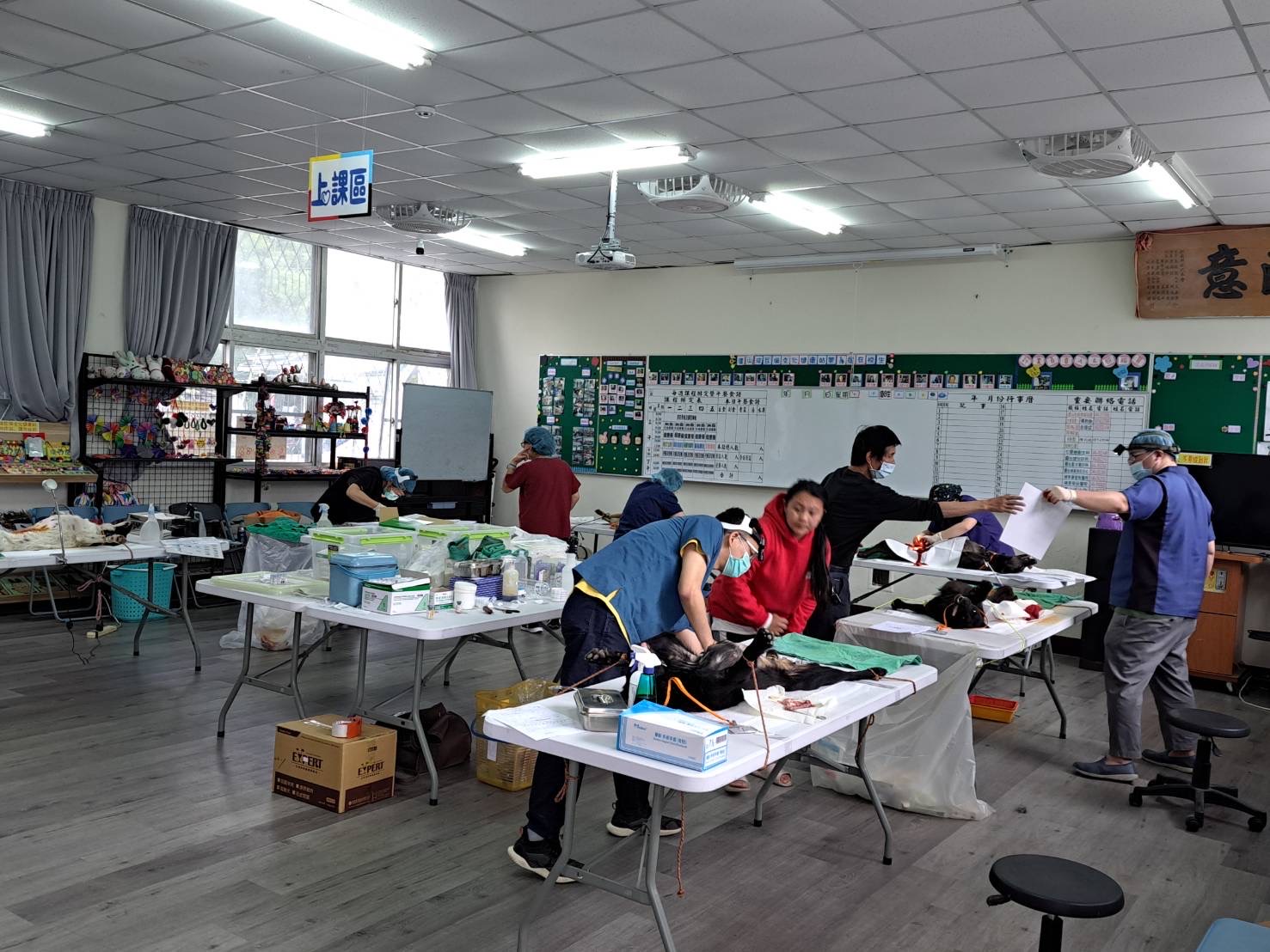 ▲ 台灣照生會 貓狗119 5/21 南投仁愛鄉免費貓狗結紮活動(圖/ 台灣照生會 貓狗119 提供)