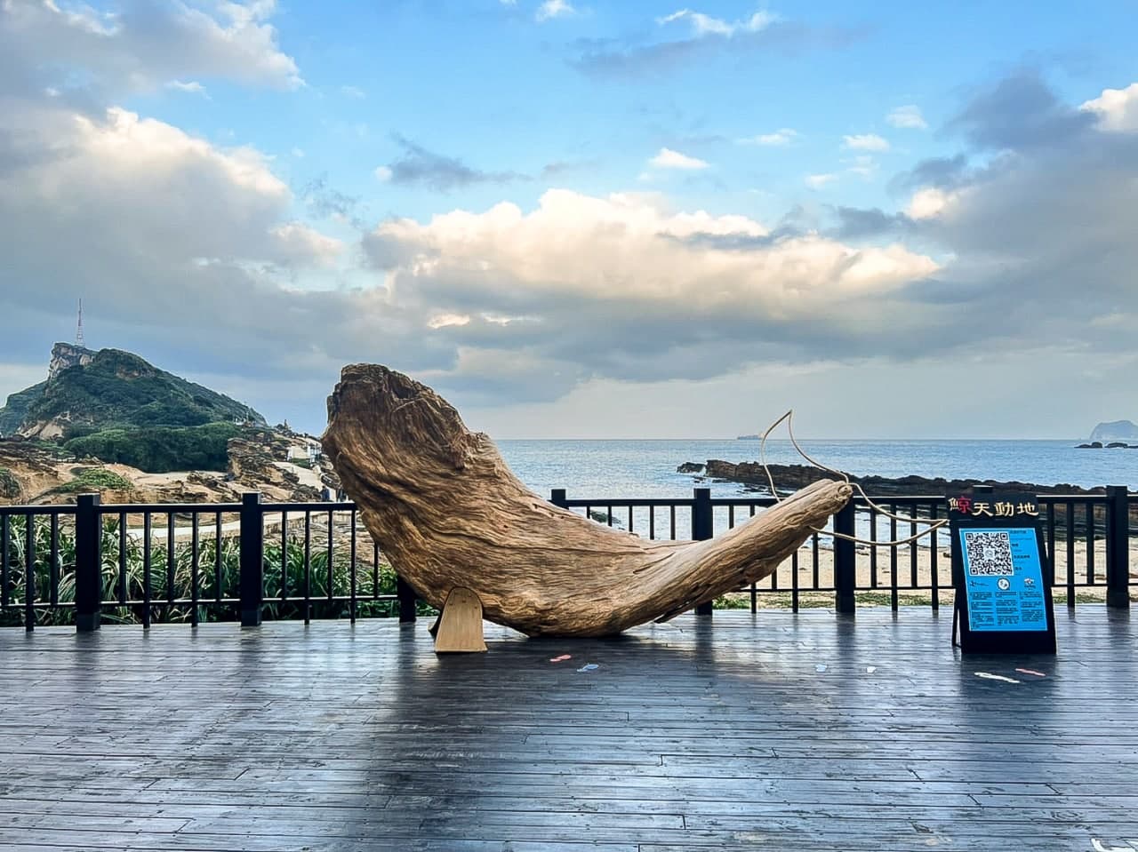 北海岸打卡新地標 漂流木巨鯨即日登場 產官學攜手倡環境生態保育