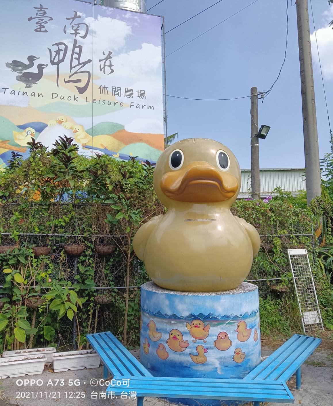 台南景點 官田「台南鴨莊休閒農場」多元化經營親子農場！