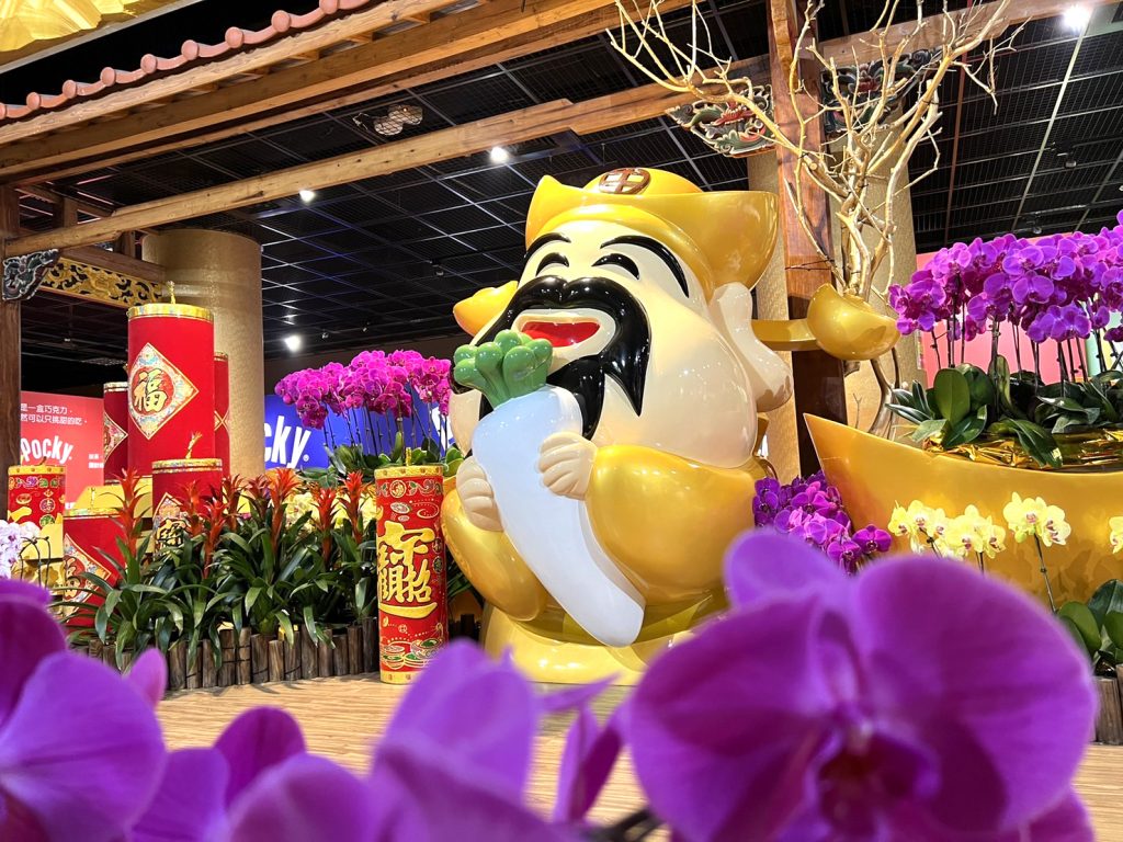 劍湖山博物館的迎春開運蝶蘭展,非常吸引民眾的目光。