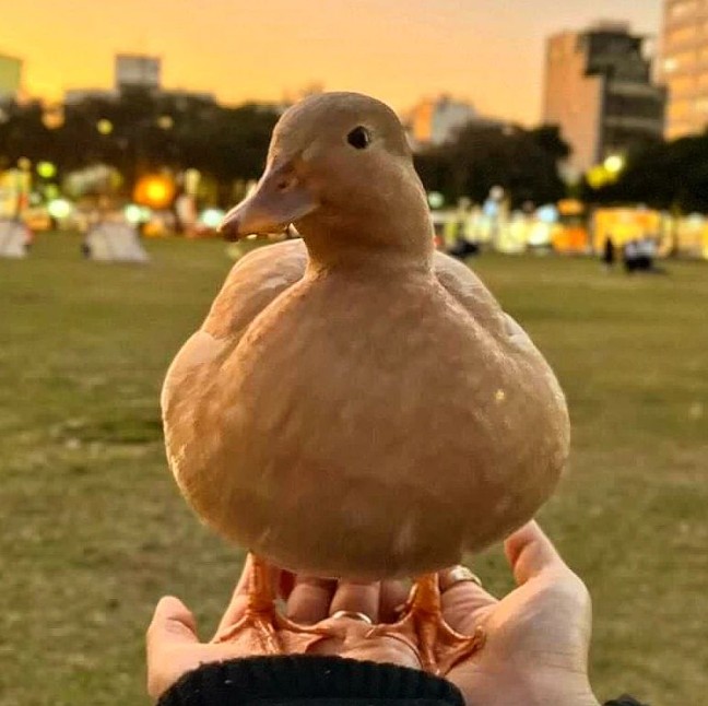 Messageimage 1703553868414