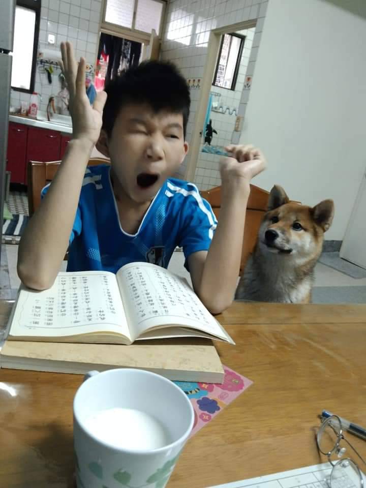 五股國小校園犬陪伴注意力無法集中的學生，讓孩童注意力集中並能夠持續穩定念書
