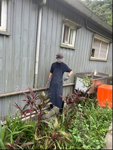 修剪園區內過長樹枝