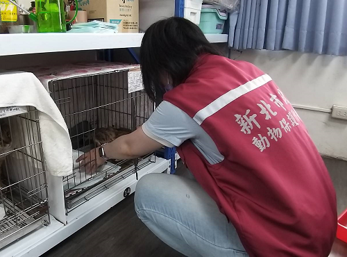 前超商店員逐漸蛻變成為流浪動物守護者