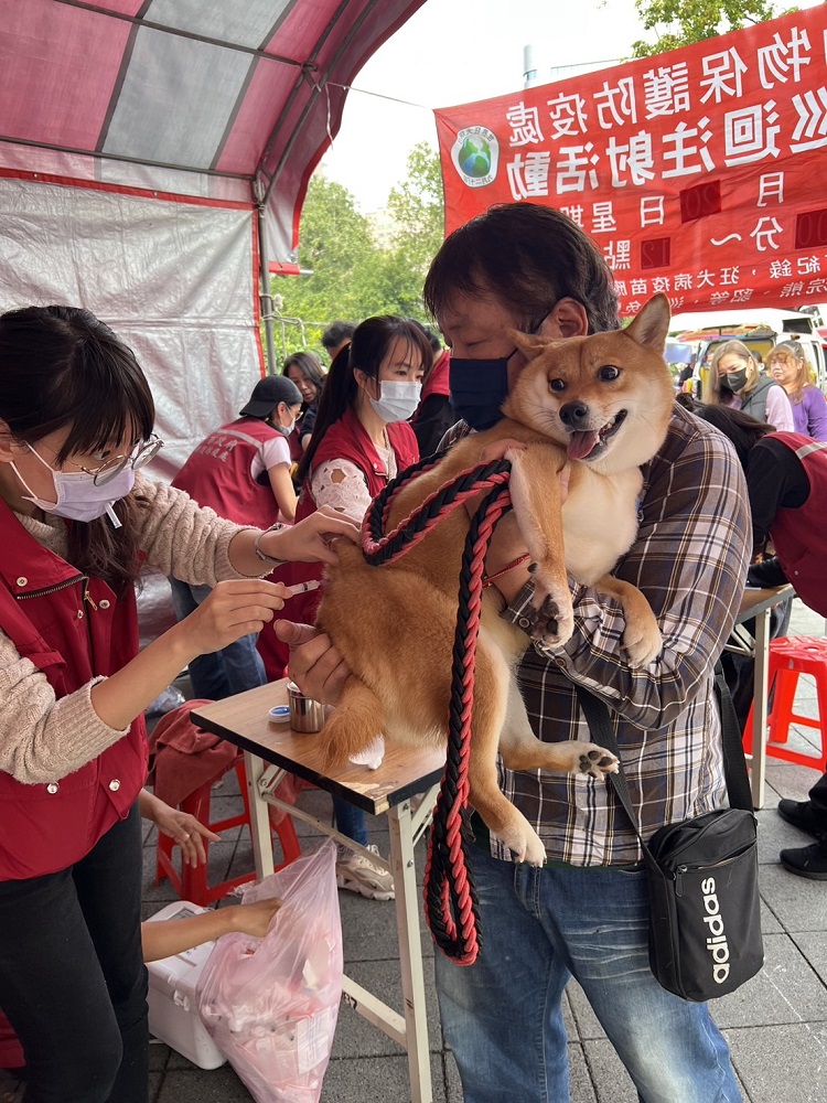動保處狂犬疫苗施打活動