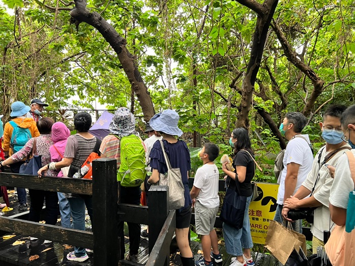參加遊覽走讀的民眾，可在寶藏巖小觀音山木棧道享受森呼吸