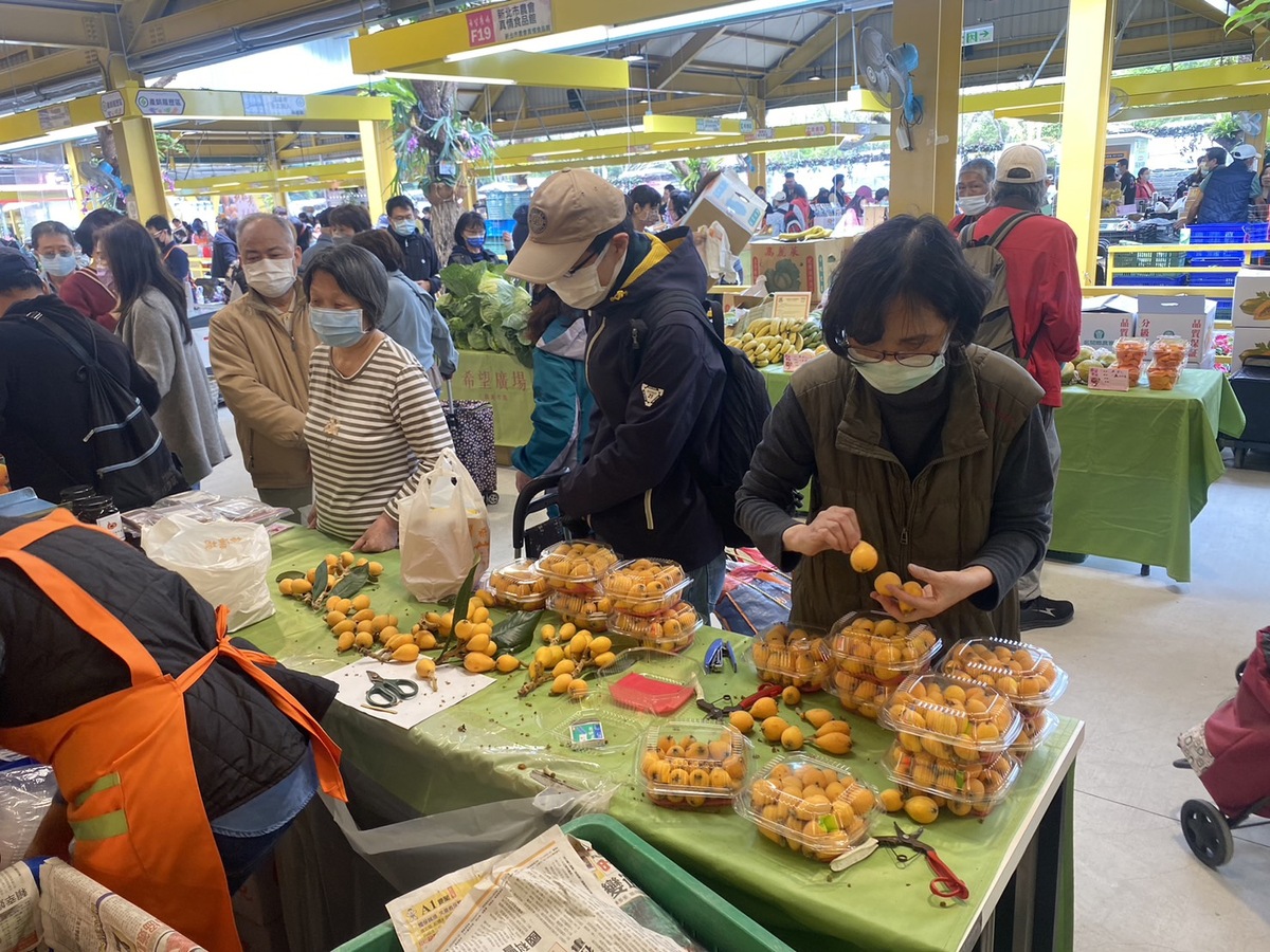 台中市新社香菇、豐原桶柑、茂谷柑於台北希望廣場展售 (1) (1)