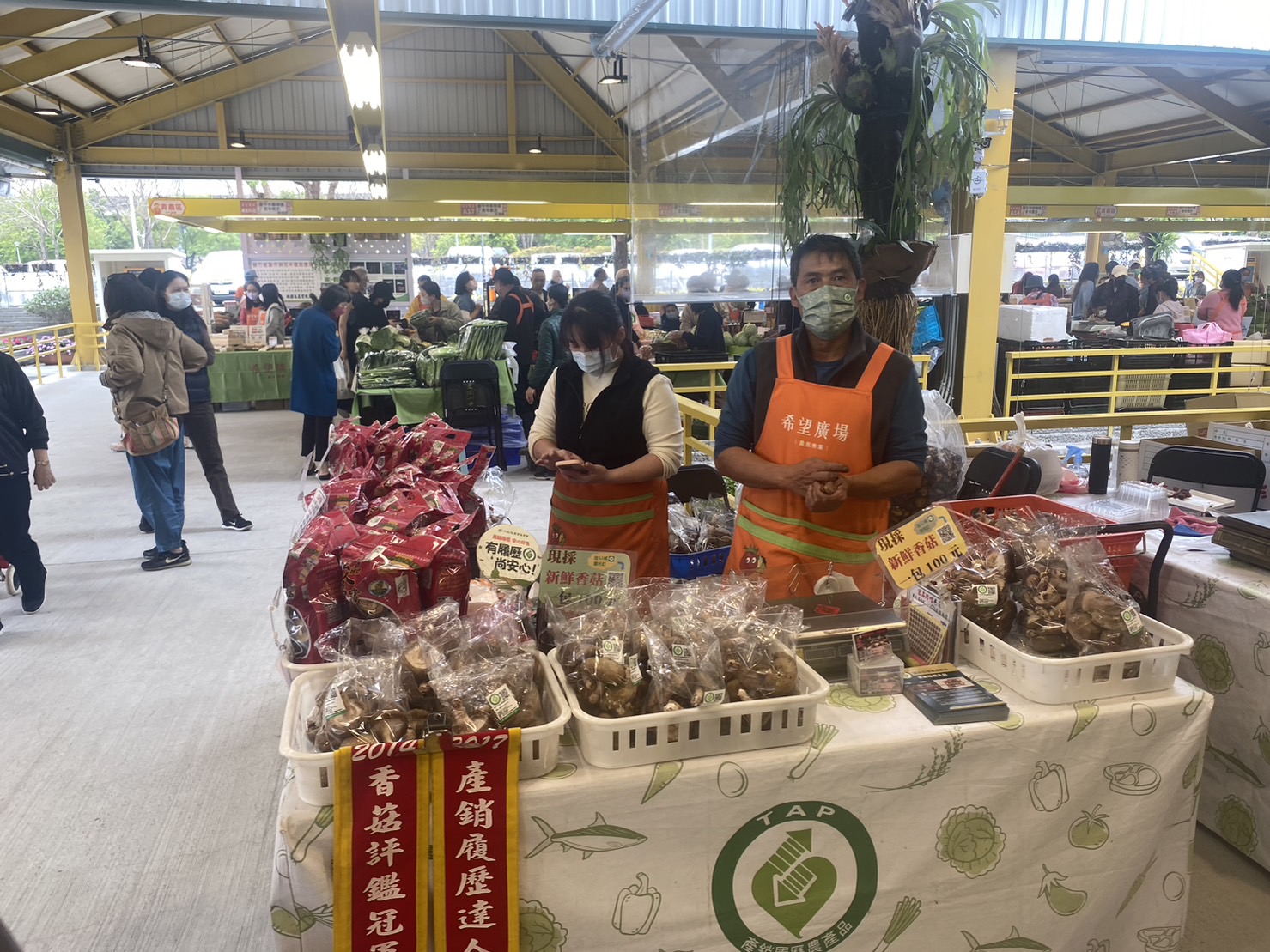 台中市農業局黃育珍科長推薦台中優質枇杷