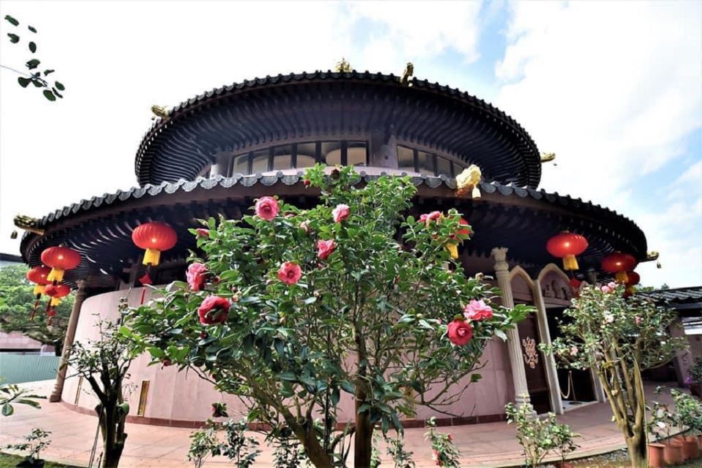 圖6，聖山寺茶花