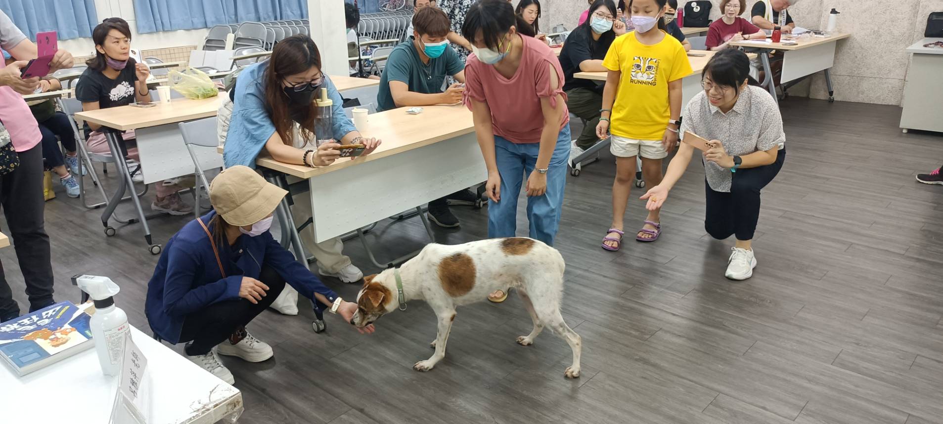 待認養犬牛奶與學員互動