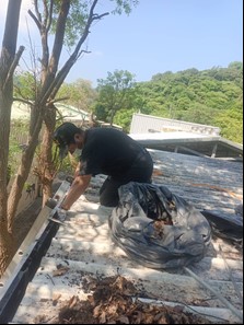 清掃水溝避免腐葉枯枝阻擋水道