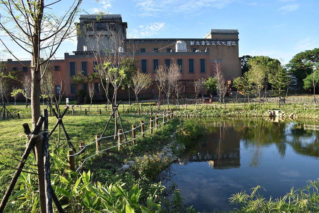 落羽松及水岸湖景
