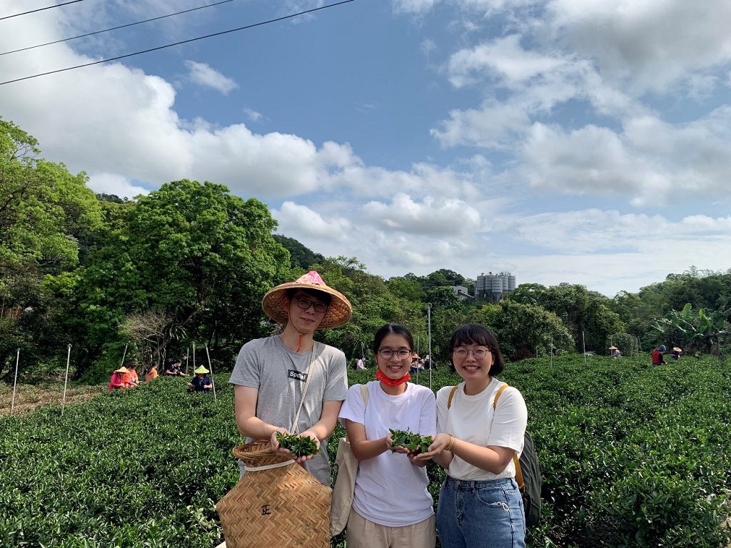 輕旅行活動相片，體驗茶與客家的新魅力